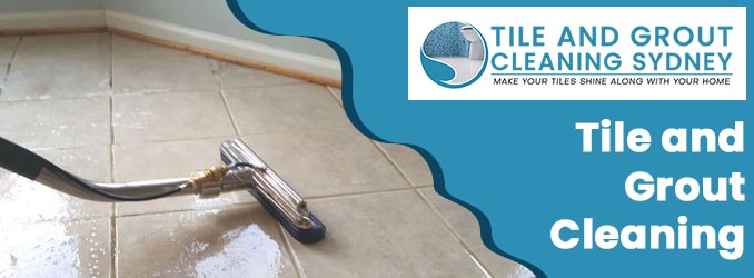 Tile and Grout Cleaning